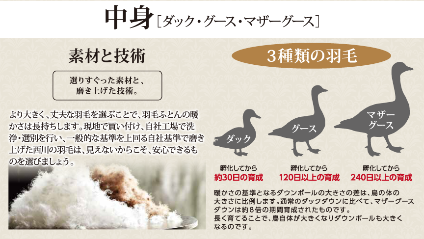 中身[ダック・グース・マザーグース]