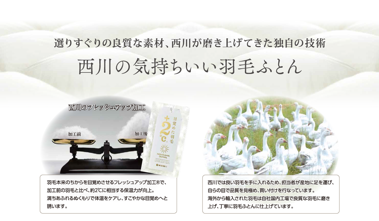 西川の気持ちいい羽毛ふとん