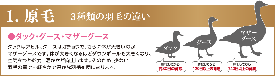 1.原毛