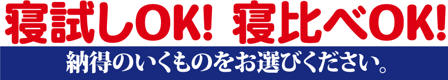 寝試しOK! 寝比べOK!納得のいくものをお選びください。